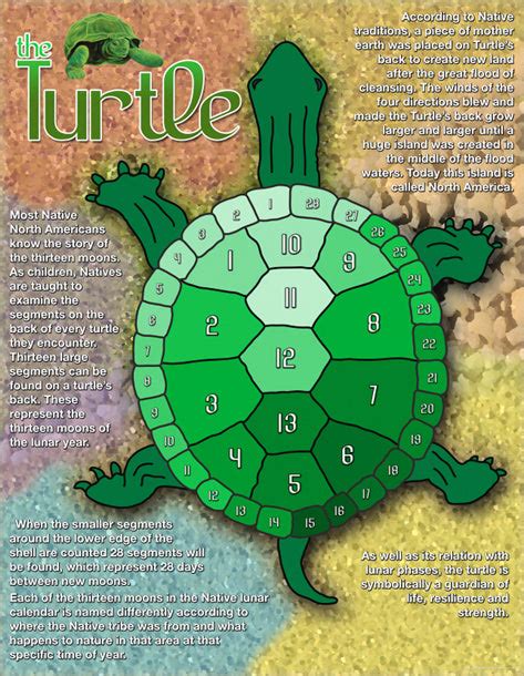 Turtle Native Reflections Inc
