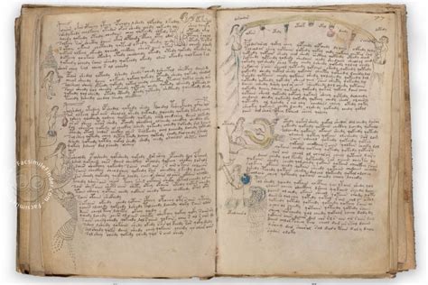 Voynich Manuscript Facsimile Taking The World By Storm