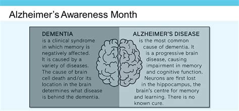 Whats The Difference Between Alzheimers Disease And Dementia Sinai