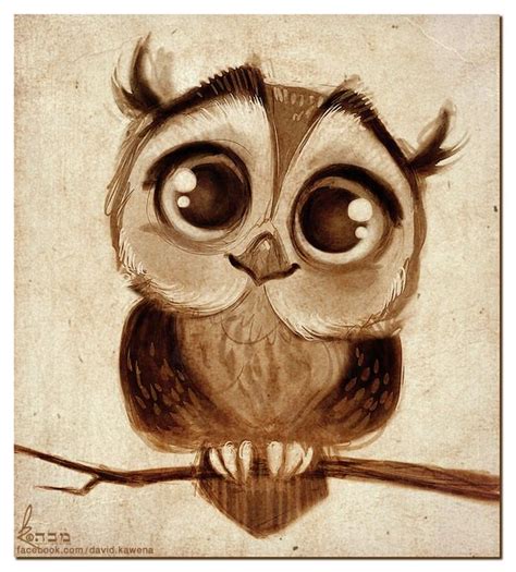Adorable Owl Drawing We Know How To Do It