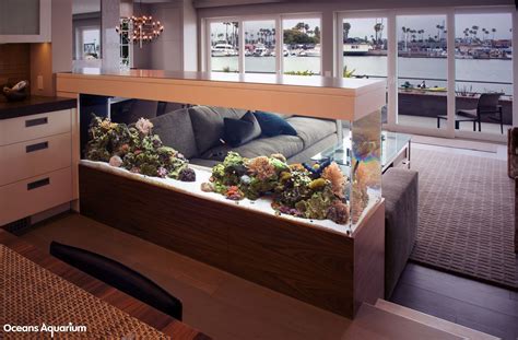 200 Gallon Living Reef Custom Aquarium Room Divider Peninsula Style