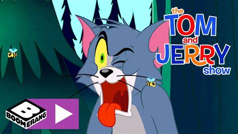 A Tom és Jerry Show Egér Kincs Cartoonito Youtube