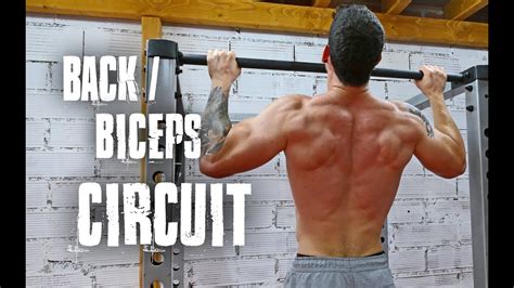 Back And Biceps Workout Circuit Calisthenics Training Youtube