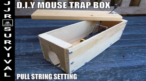 Diy Easy Set Mouse Trap Box Youtube