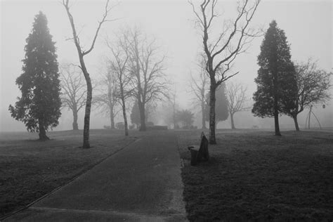 Foggy Morning Selly Oak Park Foggy Morning Selly Oak Park Flickr