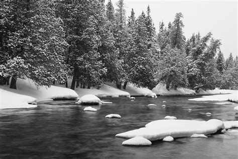 Free Images Tree Snow Winter Black And White River