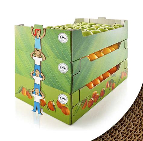 Fruits And Vegetables Corrugated Cardboard Tray An Efficient Packaging