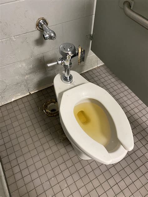 some asshole took a piss in the toilet i pulled when i went to grab parts r plumbing