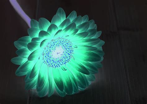 Download in under 30 seconds. How to Make a Glowing Flower