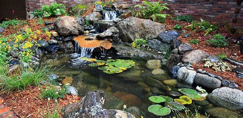 Aquascape Ecosystem Pond Rescue