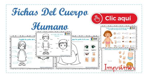 Te Cuento Un Cuento Cuerpo Humano Para Armar B33