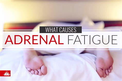 What Causes Adrenal Fatigue The 4 Red Flags You Need To Know Elevays