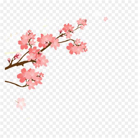 Sakura Flower Vector Free Download