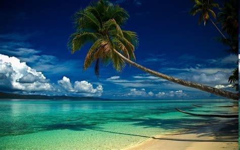 Nature Landscape Beach Palm Trees Clouds Sea Hill Morning Summer