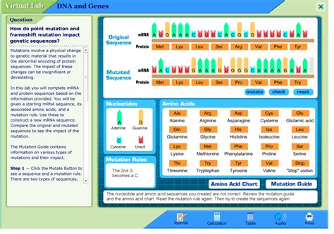 They learn what genetic engineering means and examples of its applications, as well as moral and ethical problems related to its implementation. Mutation Virtual Lab Worksheet Answers - Dna Mutation ...