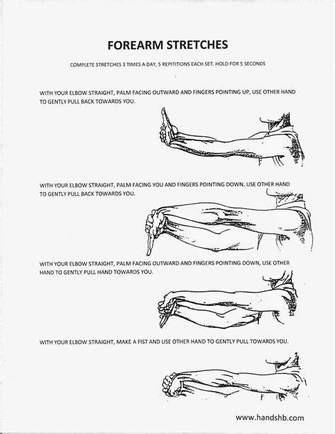 Forearm Stretches Forearm Stretches Tennis Elbow Hand Therapy