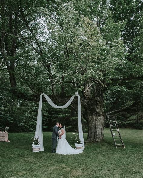 Magical Summer Wedding Ceremony Under A Giant Tree Summer Wedding
