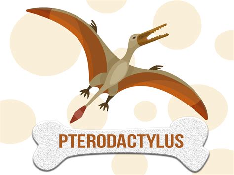 ¿qué hace que un dinosaurio sea un dinosaurio? DINOSAURIO: Pterodactylus Características, hábitat y ...