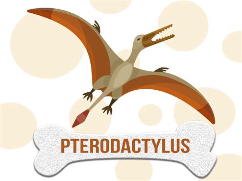 Todas las noticias sobre dinosaurios publicadas en el país. DINOSAURIO: Pterodactylus Características, hábitat y ...