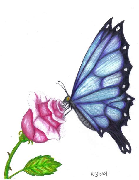 Butterfly Drawings With Color Easy A Butterfly Has Colorful Wings And
