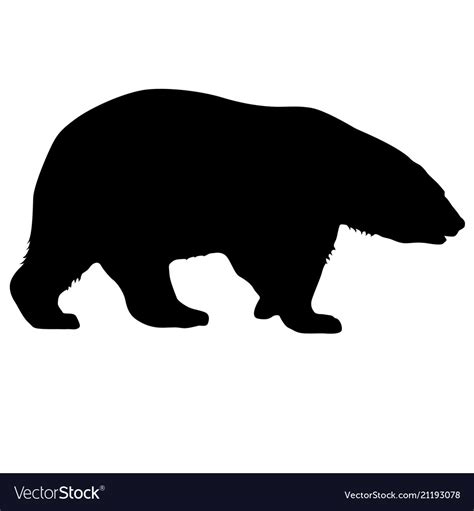 Silhouette Polar Bear On A White Background Vector Image