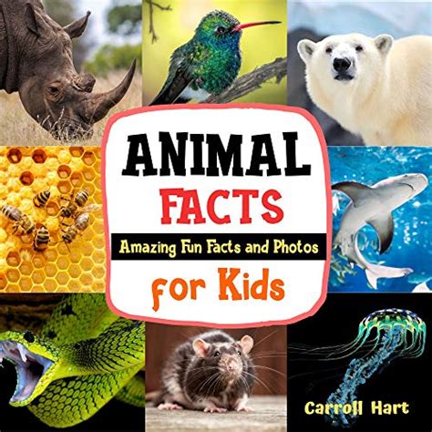 Animal Facts Amazing Fun Facts And Photos For Kids Animal Education