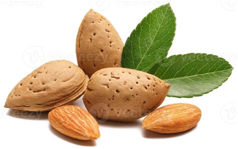 Almond Nut With Leaves 12596339 Png
