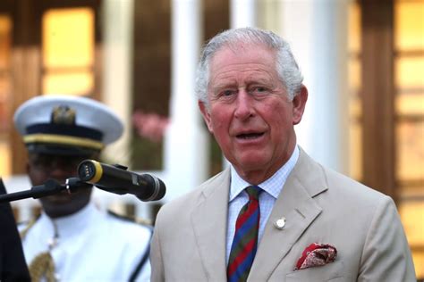 Would Prince Charles Likely Remove Hrh Titles Of Other Royals When He