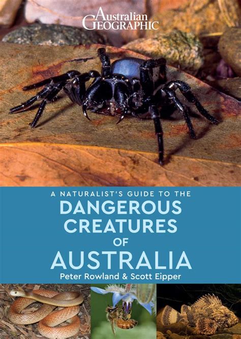 A Naturalist Guide To The Dangerous Creatures Of Australia Australian