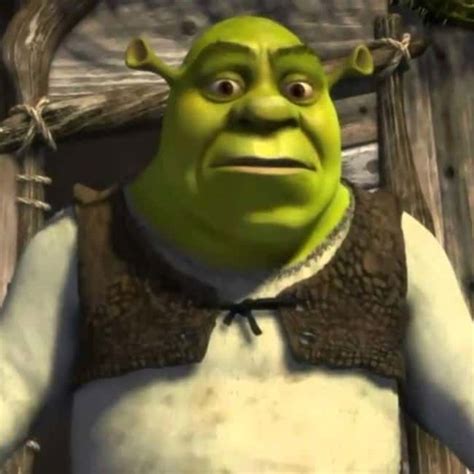 The Best Shrek Quotes Ranked By Fans