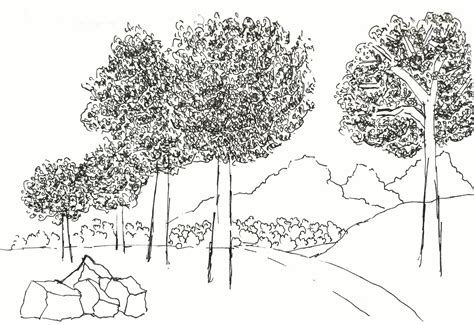 Step:4 landscape drawing has been made. Step by Step Landscape Drawing - Pen and Ink Drawings by Rahul Jain