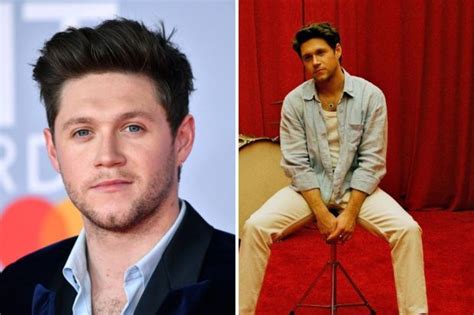 Niall Horan Fans Screaming Crying Throwing Up As He Announces New Music The Irish Sun