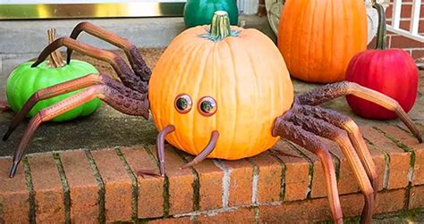 You Can Get A Kit That Turns Your Pumpkin Into A Huge Spider