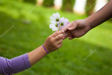 Childs Hand Giving Flowers To Her Friend — Stock Photo © Rvas 56822823