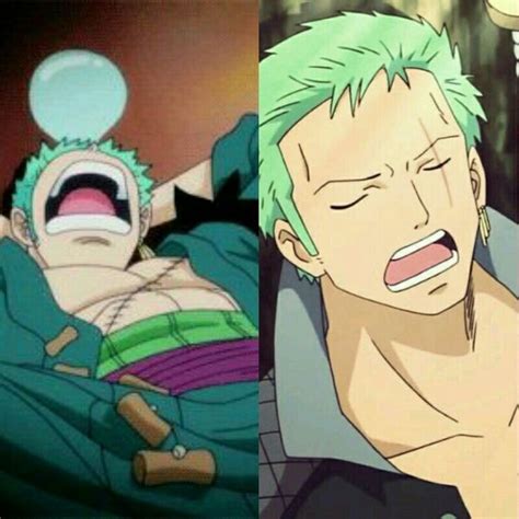 Roronoa Zoros Third Favorite Activity Sleeping Zoro Anime Me Anime