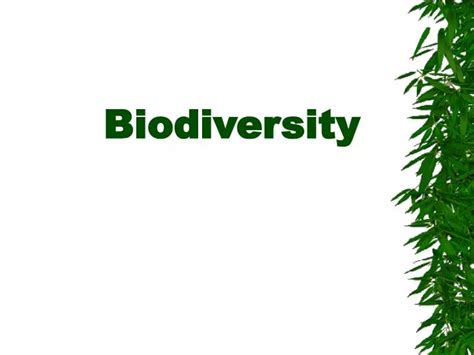Ppt Biodiversity Powerpoint Presentation Free Download Id1851986