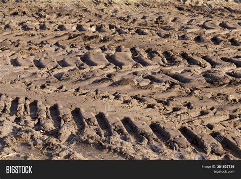 Close Rural Sand Road Image And Photo Free Trial Bigstock