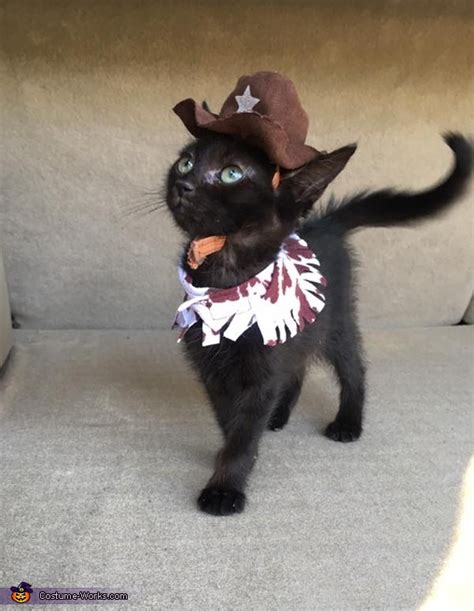 Cowboy Kitten Costume Easy Diy Costumes