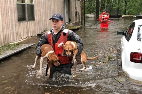 Coast Guard Swoops In To Rescue Distressed Pets During Hurricane Florence