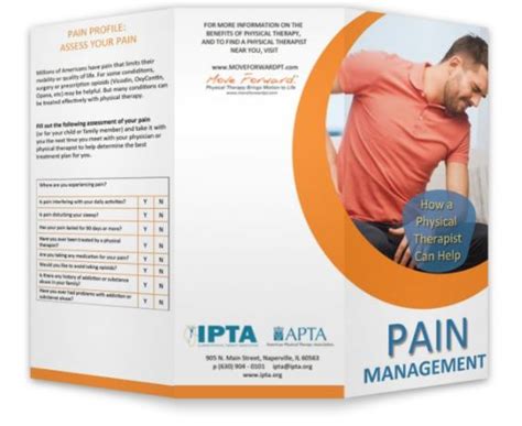 How A Pt Can Help Brochure Pain Management Illinois Physical Therapy