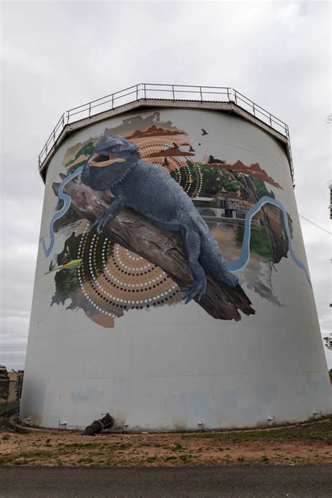 Narranderas Painted Water Tower Photo
