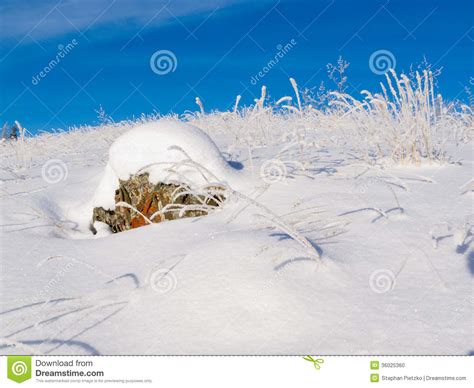 Rocky Tundra Hill Snow Covered Winter Wonderland Stock