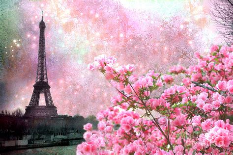 Paris Eiffel Tower Cherry Blossoms Paris Spring Eiffel Tower Pink