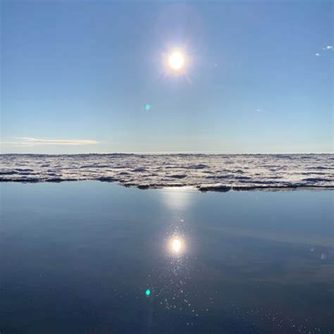 Notes From The Field Spring Greening In The Arctic Tundra