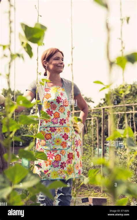 Mature Woman Gardening Stock Photo Alamy