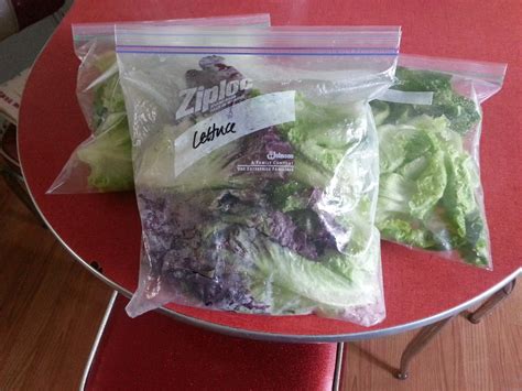 Full Tummies Lettuce Prep And Storage