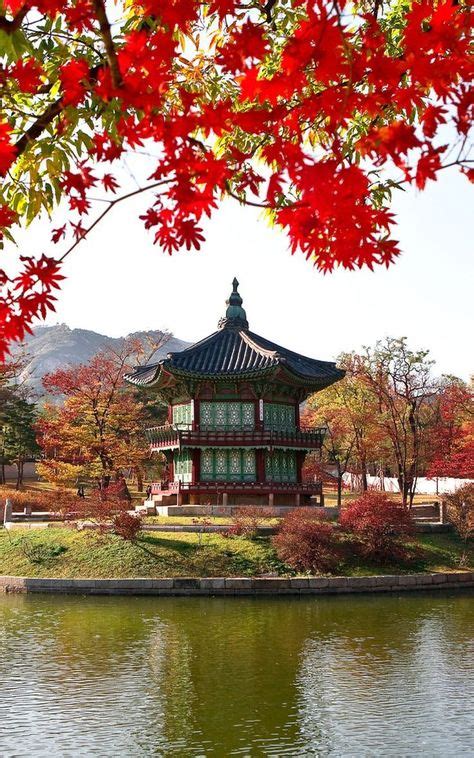 19 Best Countryside Of Korea Images In 2020 Countryside Korea Sokcho