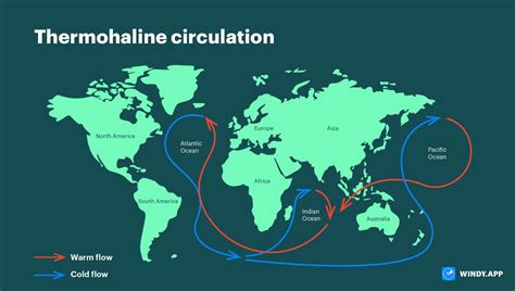 What Is Thermohaline Circulation Windyapp