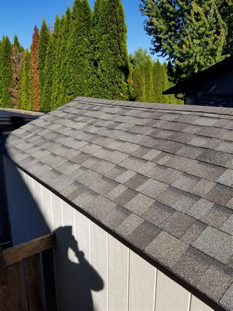 Shed Roof Replacement Services Hedgehog Home Services Llc