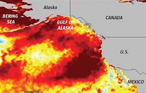 New Marine Heat Wave Resembles Killer ‘blob That Devastated Marine